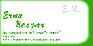 erno meszar business card